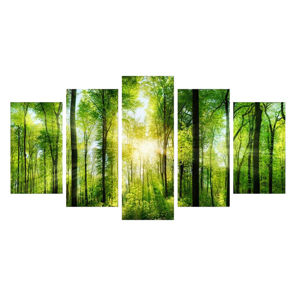 Tableau de Décoration Forêt Verte Nature Paysage Quintyque