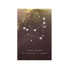 Tableau de Décoration Constellation Capricorne Nature Espace Portrait Marron