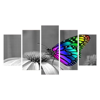 Tableau de Décoration Papillon Animaux Quintyque Multicolore Noir et Blanc
